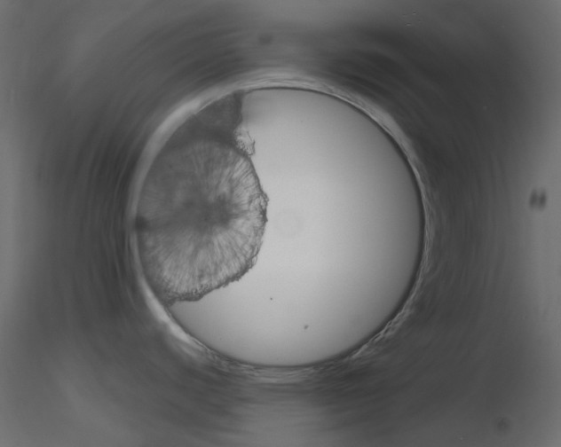 X0000115701440200912241513