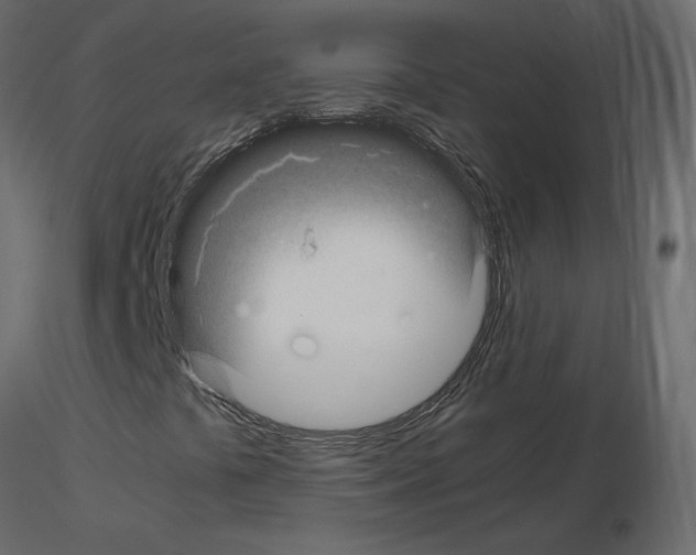 X0000115701441200912241513