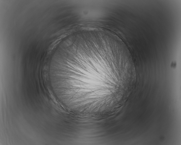 X0000115701442200912241513