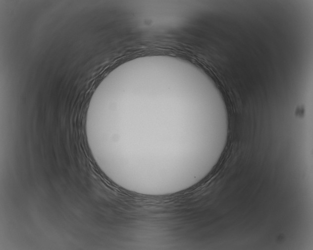 X0000115701443200912241513