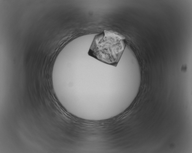 X0000115701444200912241513