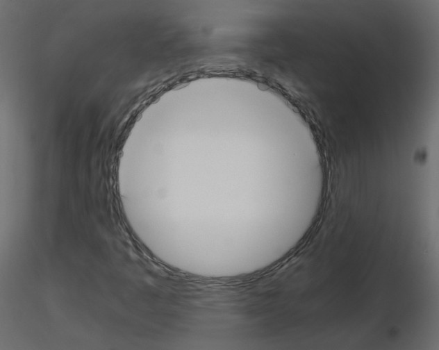 X0000115701445200912241513