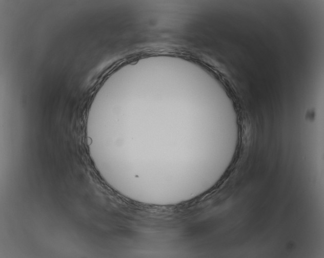 X0000115701446200912241513