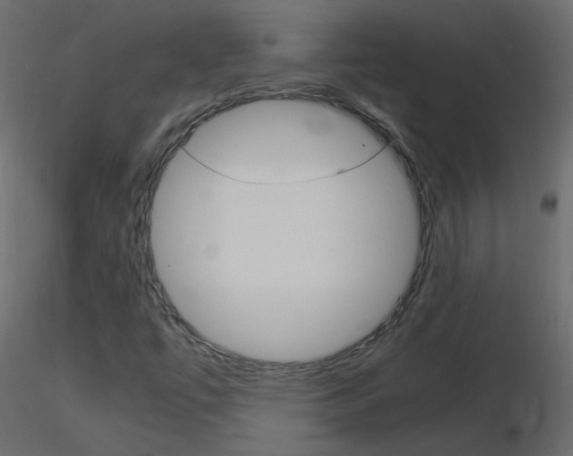 X0000115701447200912241513