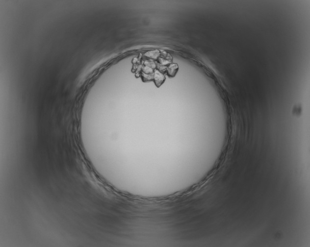 X0000115701448200912241513