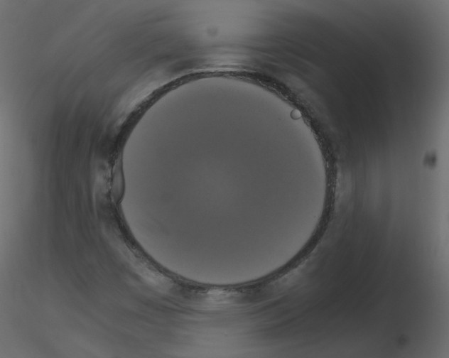 X0000115701449200912241513