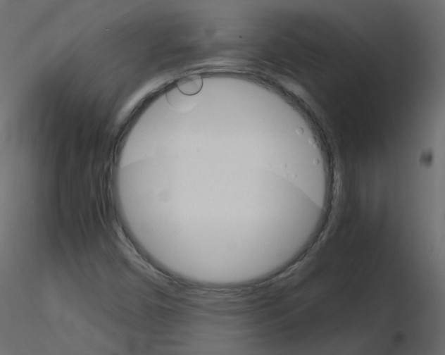 X0000115701450200912241513