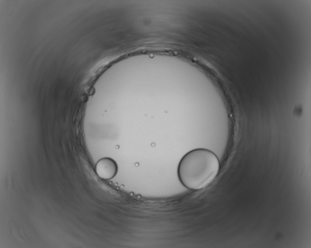 X0000115701451200912241513