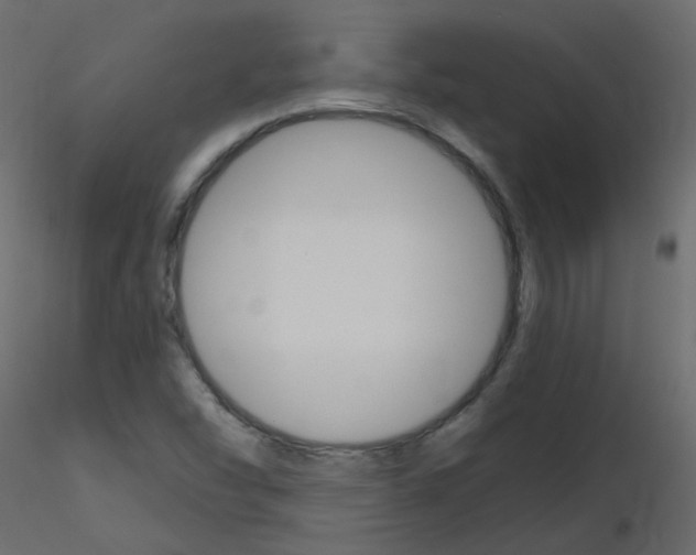 X0000115701454200912241513