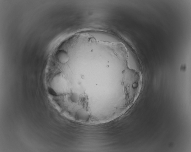 X0000115701455200912241512