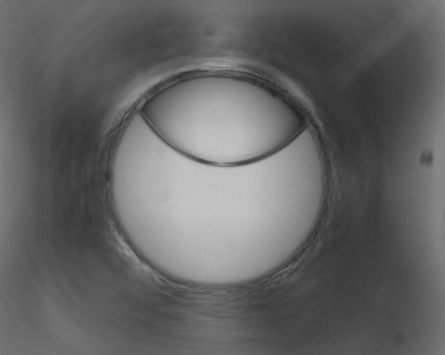 X0000115701456200912241512