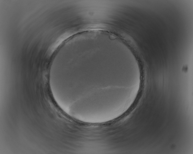 X0000115701457200912241512