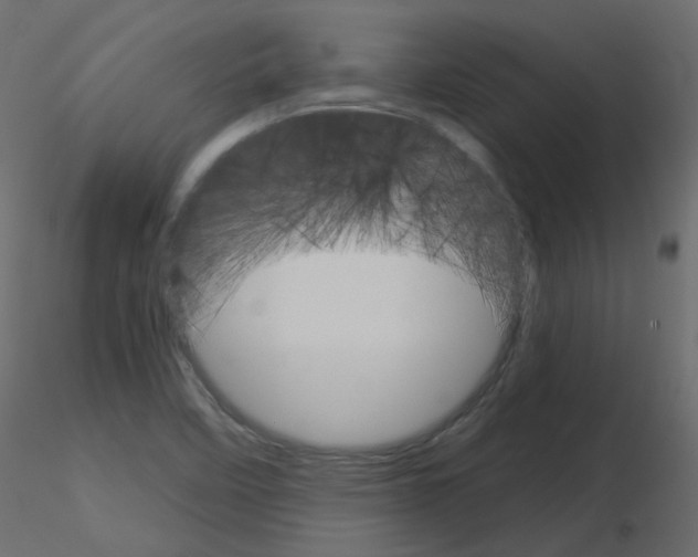 X0000115701458200912241512