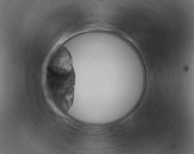 X0000115701459200912241512