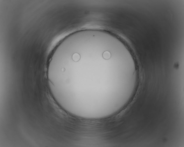 X0000115701461200912241512