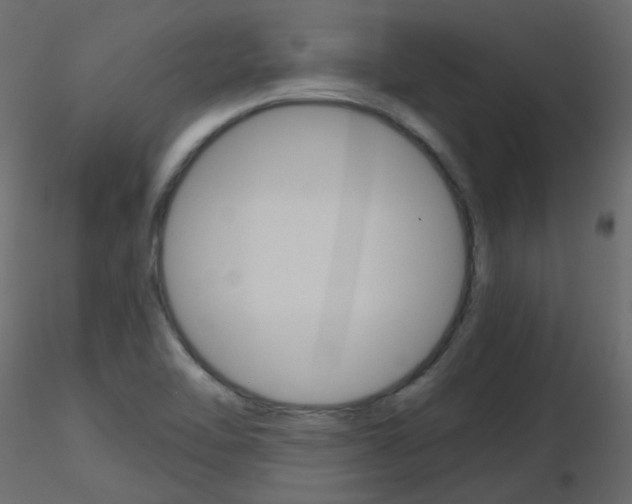 X0000115701462200912241512