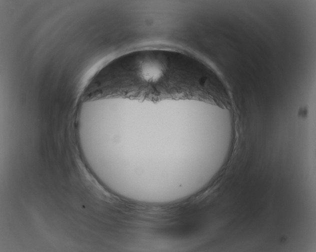 X0000115701463200912241512