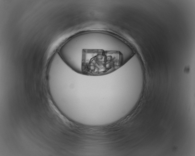 X0000115701464200912241512