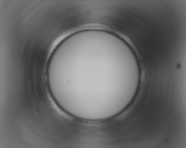 X0000115701466200912241512