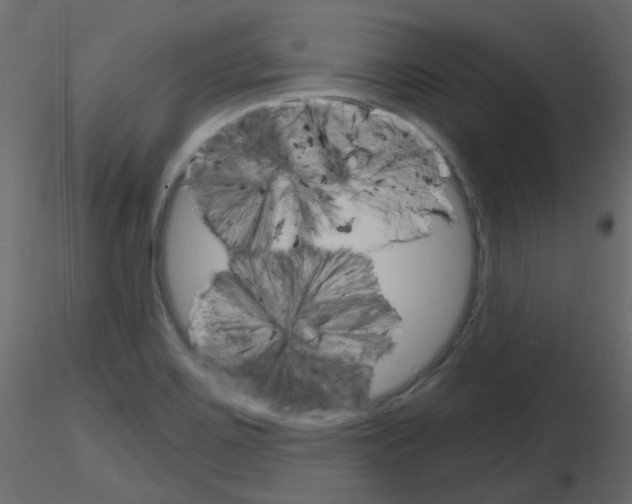 X0000115701467200912241512