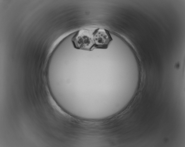 X0000115701468200912241512