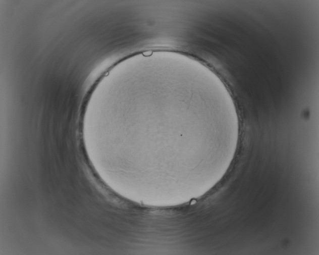 X0000115701469200912241512