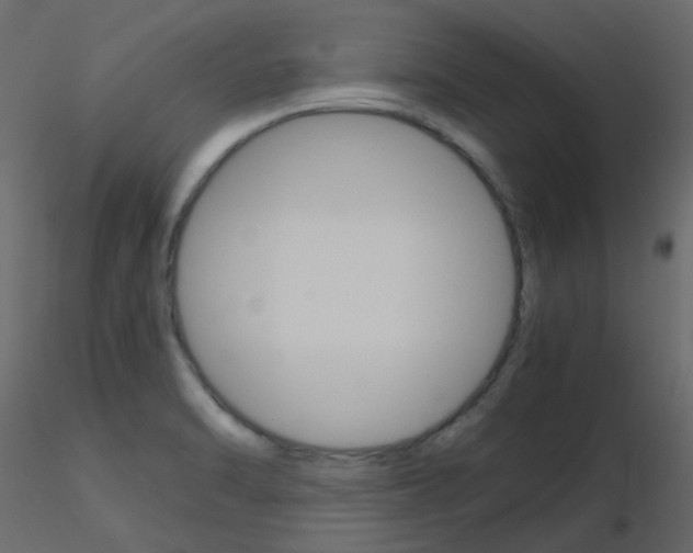 X0000115701470200912241512