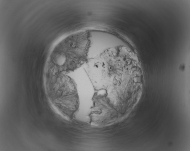 X0000115701471200912241512