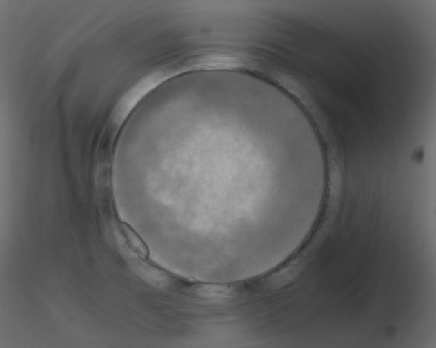 X0000115701473200912241512