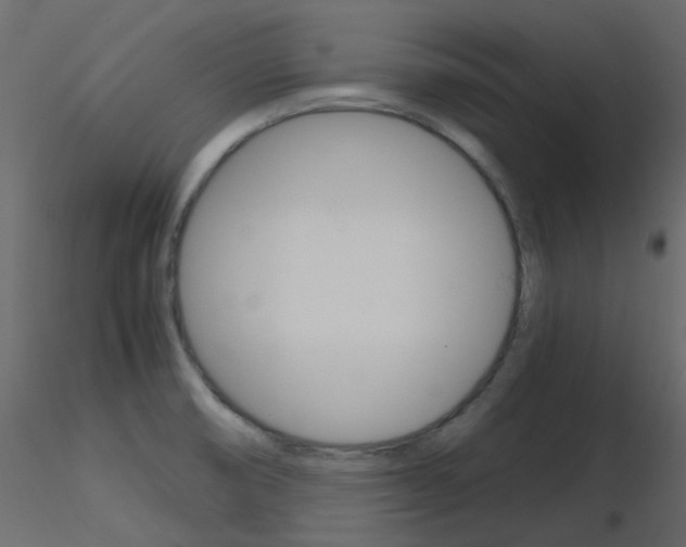 X0000115701474200912241512