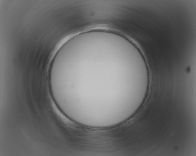 X0000115701475200912241512