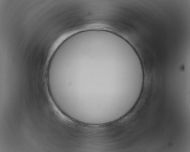 X0000115701478200912241512