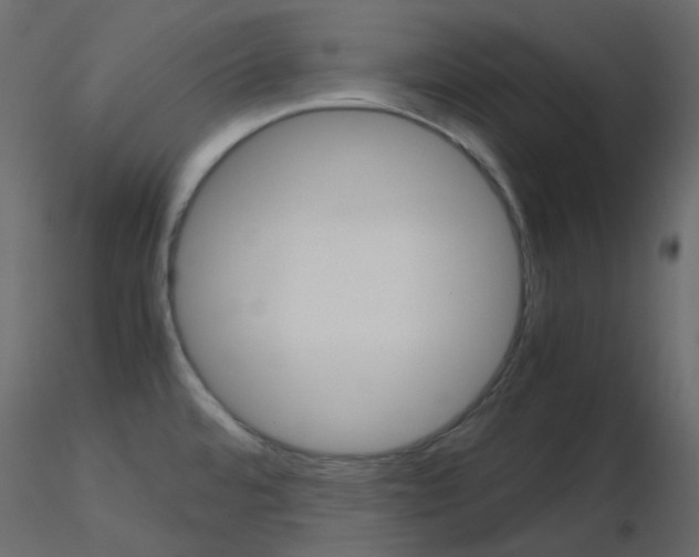 X0000115701480200912241512