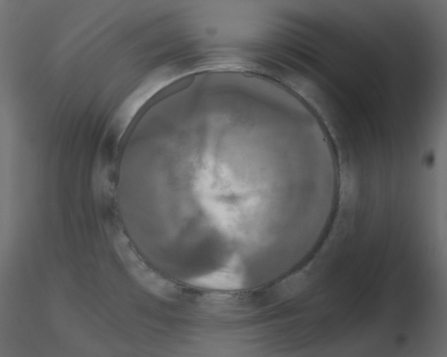 X0000115701481200912241512