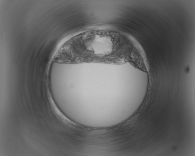 X0000115701483200912241512