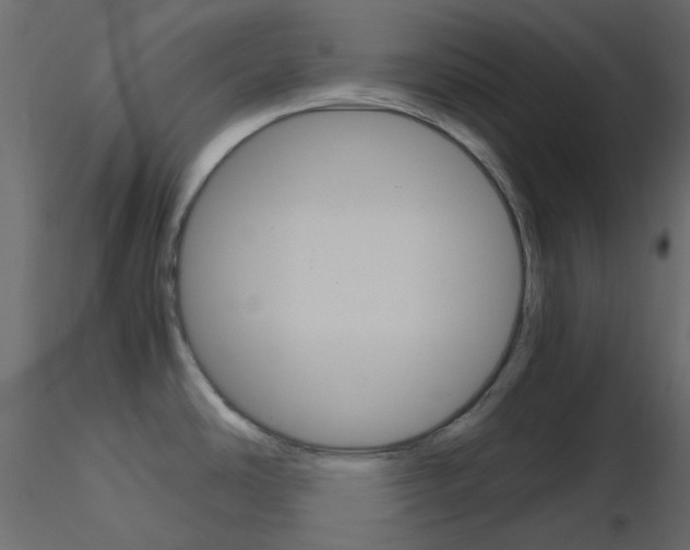 X0000115701486200912241512