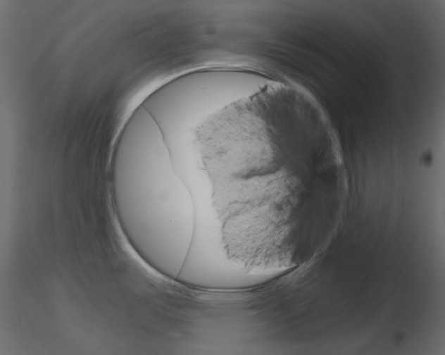 X0000115701487200912241512