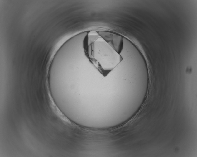 X0000115701488200912241512