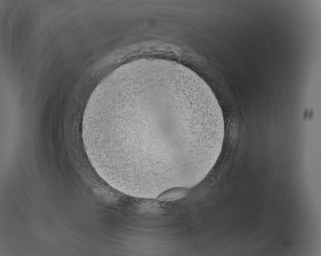 X0000115701489200912241511