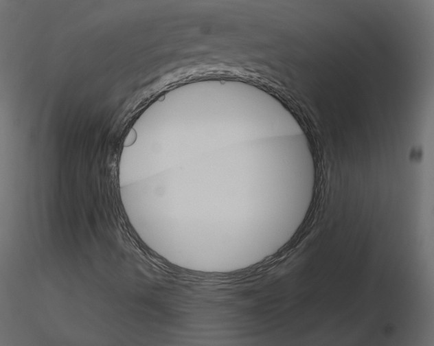 X0000115701490200912241511