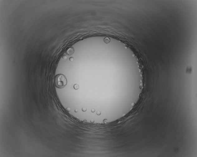 X0000115701491200912241511