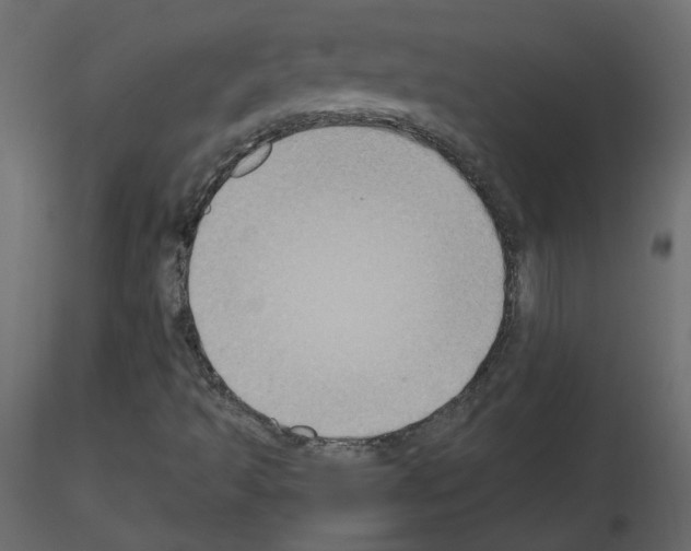 X0000115701493200912241511