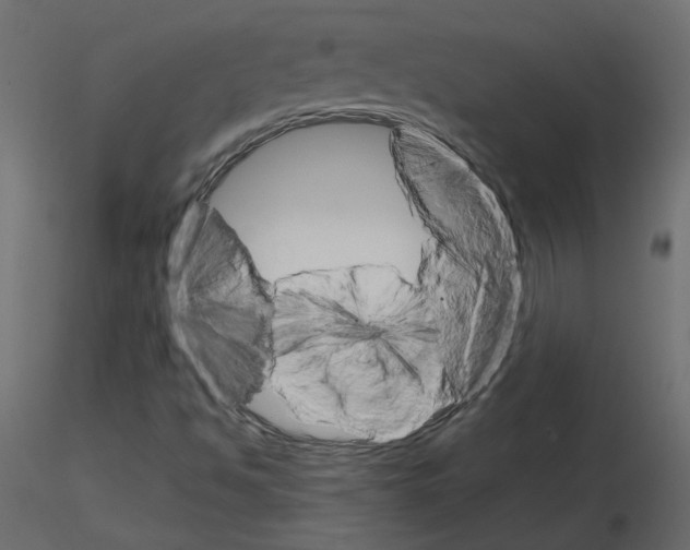 X0000115701494200912241511