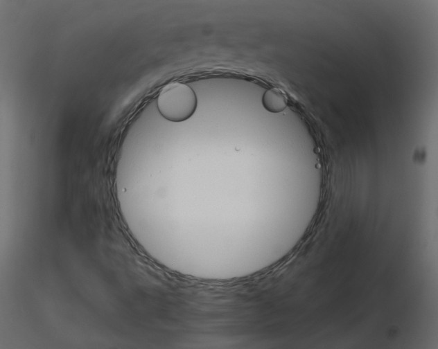 X0000115701495200912241511