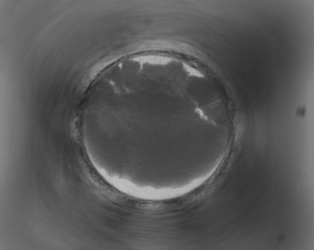 X0000115701497200912241511