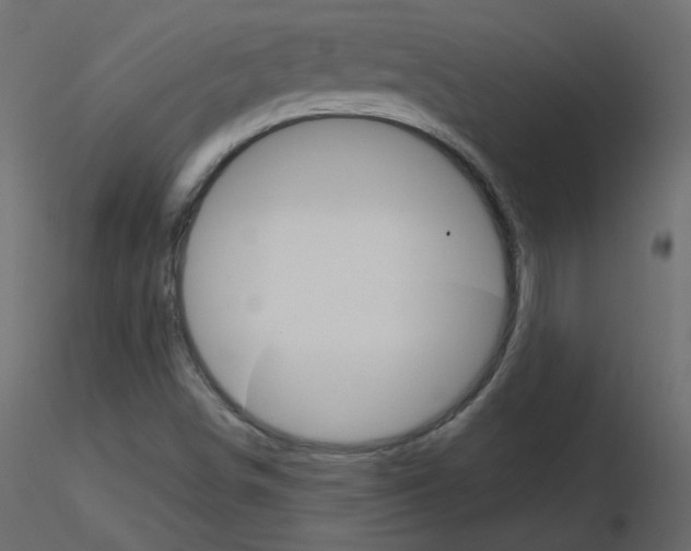 X0000115701498200912241512