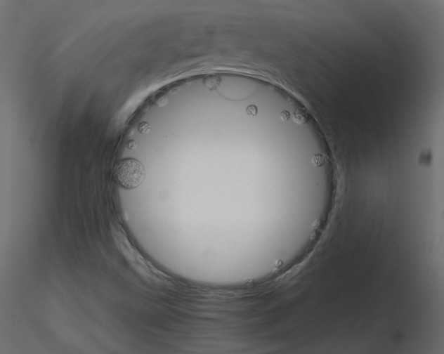 X0000115701499200912241512