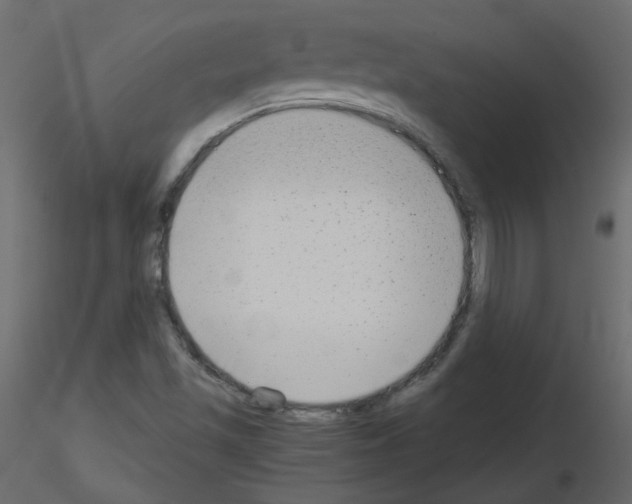 X0000115701501200912241512