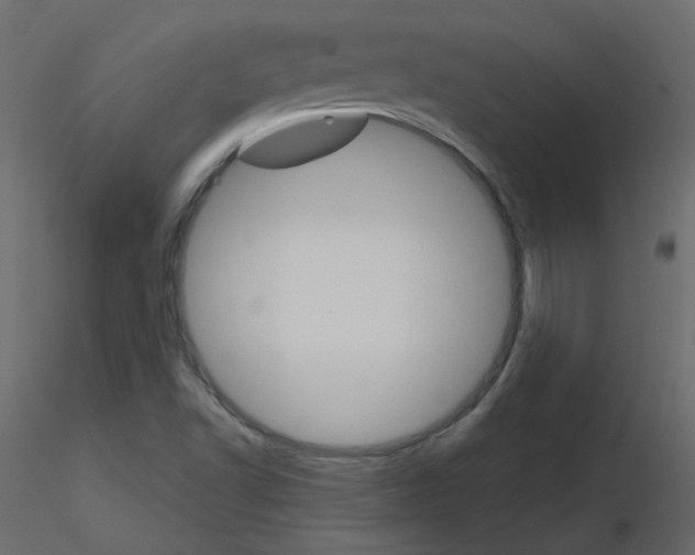 X0000115701502200912241512