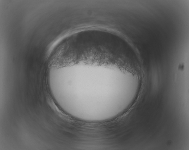 X0000115701503200912241512